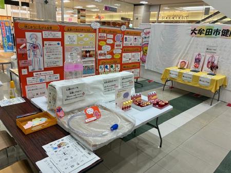 展示（全体）
