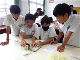 布の種類を見分ける