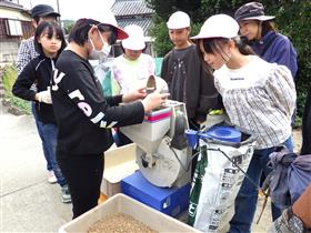 籾すり機で籾から玄米に変化する様子を見守る児童