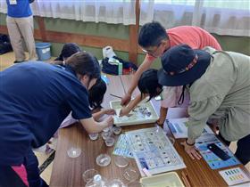 生物教室の同定作業