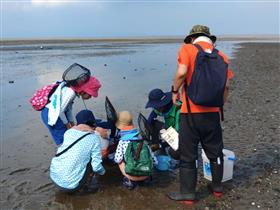 ひがたの生物教室の生物採取