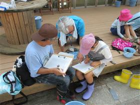 ひがたの生物教室の同定作業