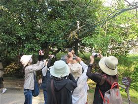 デジタルカメラ講座(5)