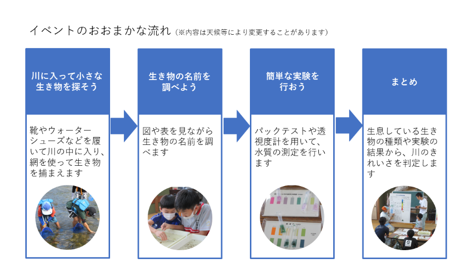生物教室のおおまかな流れ