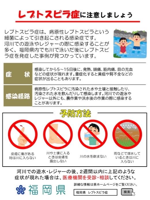 レプトスピラ症に注意しましょう