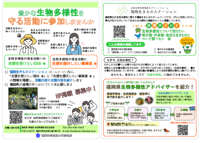 リーフレット画像