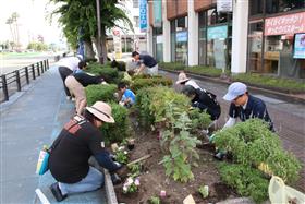 0613_市民憲章推進委員会街路美化活動