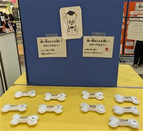 強い骨と弱い骨
