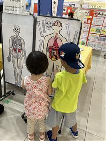骨パズル
