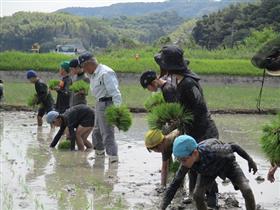 R6 上内小田植え