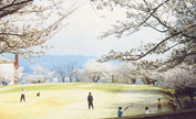 甘木公園の写真 甘木公園の写真
