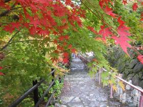 普光寺参道の紅葉