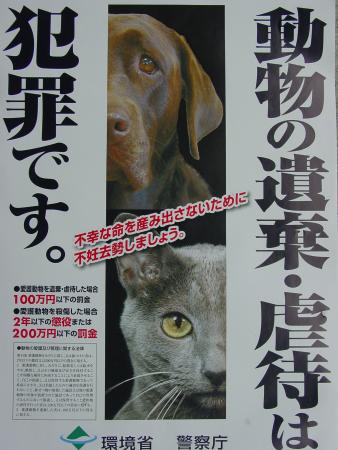 動物虐待