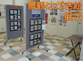 展示 展示