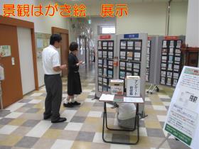 展示状況