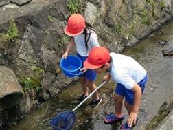 天の原小学校　野間川調べ