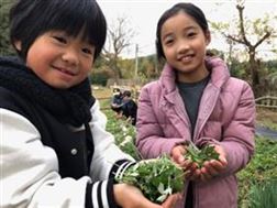 玉川野草園 ヨモギ収穫