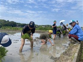 田植え