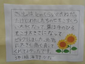 子どもの感想文 子どもの感想文