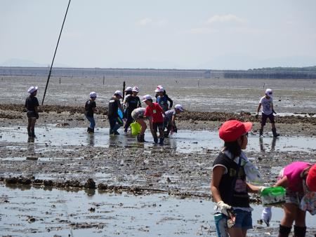 みんなで協力して生き物を探しています"