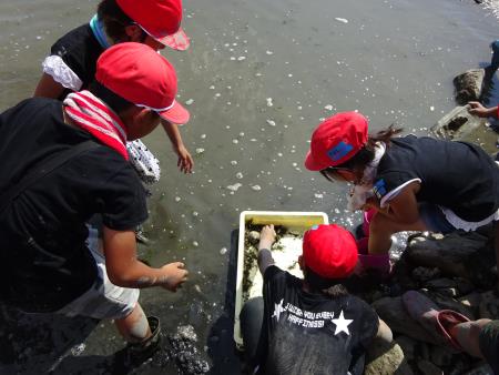 捕まえた生き物を海に返します2