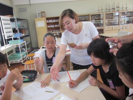 5年生のESD「環境学習」を参観1 5年生のESD「環境学習」を参観1