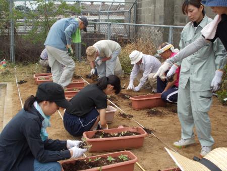 地域の方々と一緒に宮原坑にヒマワリの苗を植える宮原中の生徒