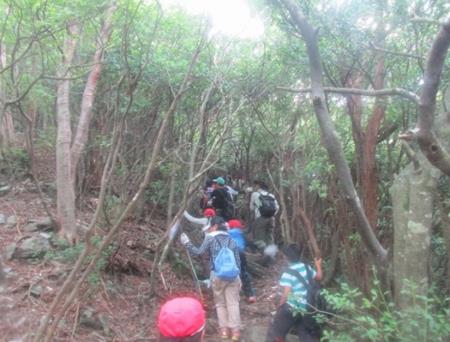 山登りをしています 山登りをしています