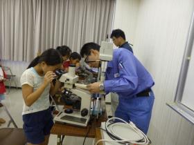 顕微鏡での微生物観察